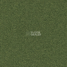 Ковровая плитка Modulyss Millennium Nxtgen Millennium Nxtgen 669 фото 1 | FLOORDEALER